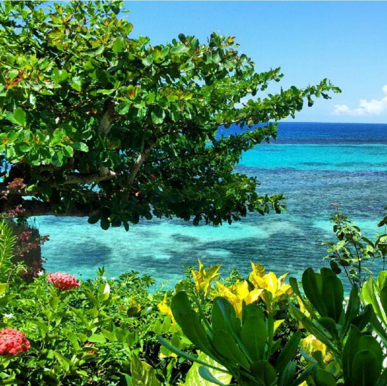 Hibiscus Lodge Hotel Ocho Rios Luaran gambar