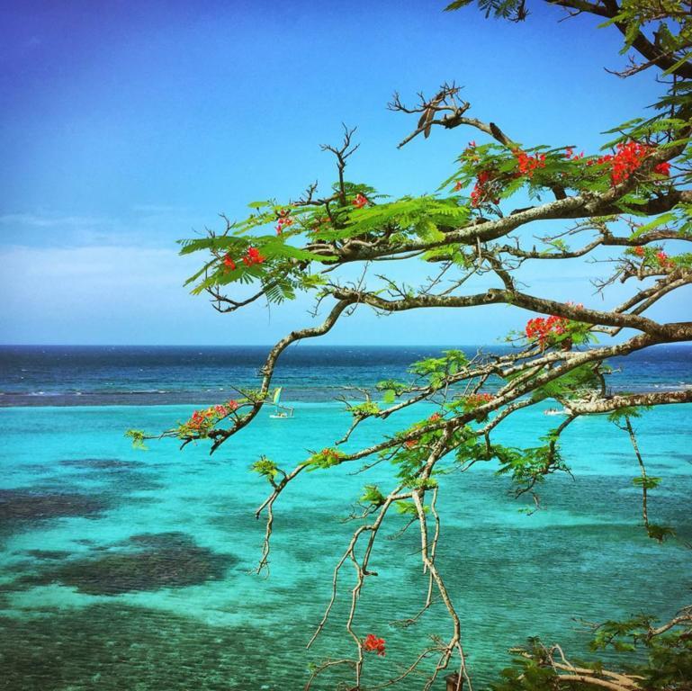 Hibiscus Lodge Hotel Ocho Rios Luaran gambar